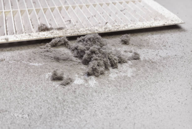 Best Professional Duct Cleaning Services  in Doffing, TX